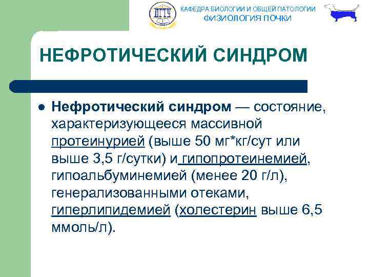 КАФЕДРА БИОЛОГИИ И ОБЩЕЙ ПАТОЛОГИИ ФИЗИОЛОГИЯ ПОЧКИ НЕФРОТИЧЕСКИЙ СИНДРОМ l Нефротический синдром — состояние,
