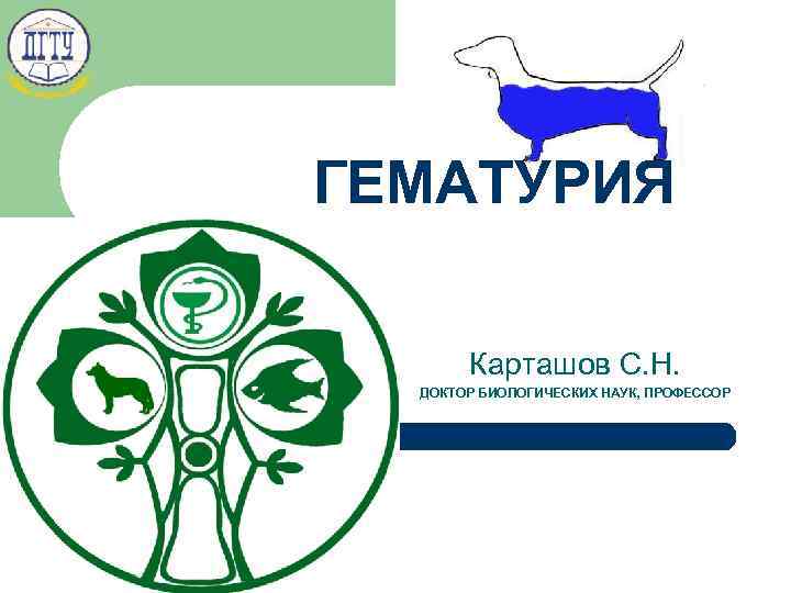 ГЕМАТУРИЯ Карташов С. Н. ДОКТОР БИОЛОГИЧЕСКИХ НАУК, ПРОФЕССОР 15 