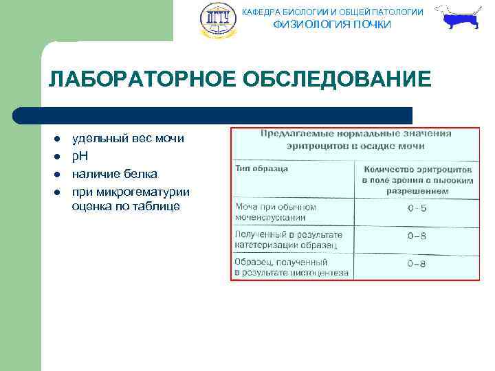 КАФЕДРА БИОЛОГИИ И ОБЩЕЙ ПАТОЛОГИИ ФИЗИОЛОГИЯ ПОЧКИ ЛАБОРАТОРНОЕ ОБСЛЕДОВАНИЕ l l удельный вес мочи