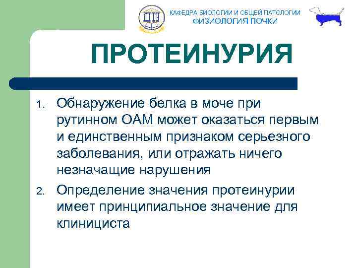 КАФЕДРА БИОЛОГИИ И ОБЩЕЙ ПАТОЛОГИИ ФИЗИОЛОГИЯ ПОЧКИ ПРОТЕИНУРИЯ 1. 2. Обнаружение белка в моче