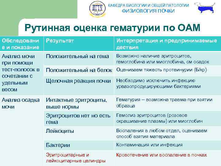 КАФЕДРА БИОЛОГИИ И ОБЩЕЙ ПАТОЛОГИИ ФИЗИОЛОГИЯ ПОЧКИ Рутинная оценка гематурии по ОАМ Обследовани е