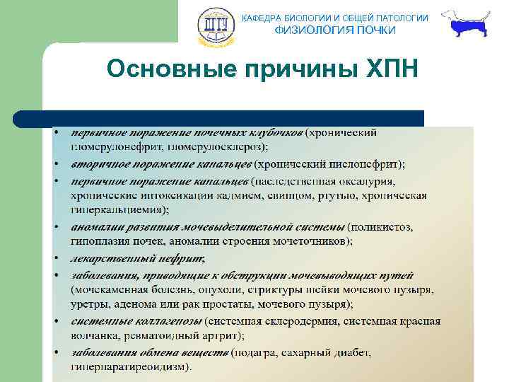 КАФЕДРА БИОЛОГИИ И ОБЩЕЙ ПАТОЛОГИИ ФИЗИОЛОГИЯ ПОЧКИ Основные причины ХПН 