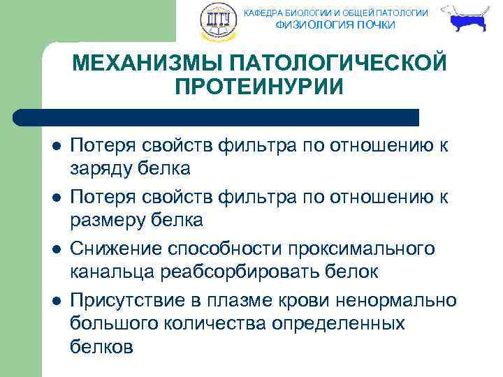 КАФЕДРА БИОЛОГИИ И ОБЩЕЙ ПАТОЛОГИИ ФИЗИОЛОГИЯ ПОЧКИ МЕХАНИЗМЫ ПАТОЛОГИЧЕСКОЙ ПРОТЕИНУРИИ l l Потеря свойств