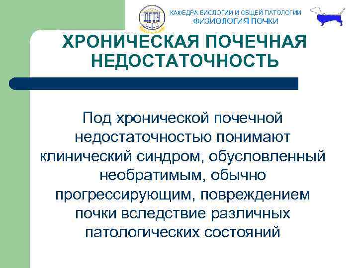 КАФЕДРА БИОЛОГИИ И ОБЩЕЙ ПАТОЛОГИИ ФИЗИОЛОГИЯ ПОЧКИ ХРОНИЧЕСКАЯ ПОЧЕЧНАЯ НЕДОСТАТОЧНОСТЬ Под хронической почечной недостаточностью