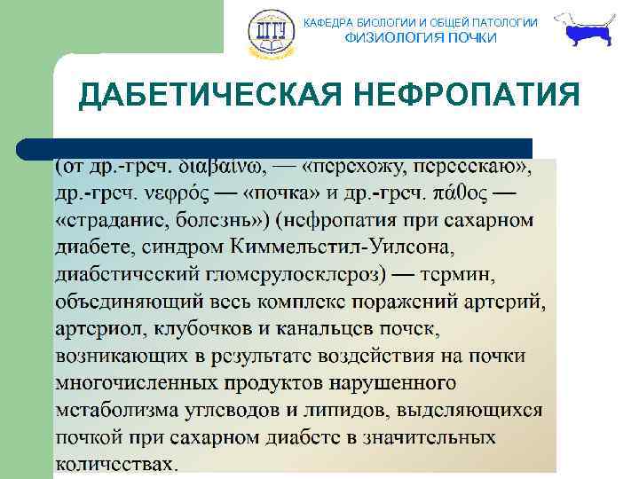 КАФЕДРА БИОЛОГИИ И ОБЩЕЙ ПАТОЛОГИИ ФИЗИОЛОГИЯ ПОЧКИ ДАБЕТИЧЕСКАЯ НЕФРОПАТИЯ 