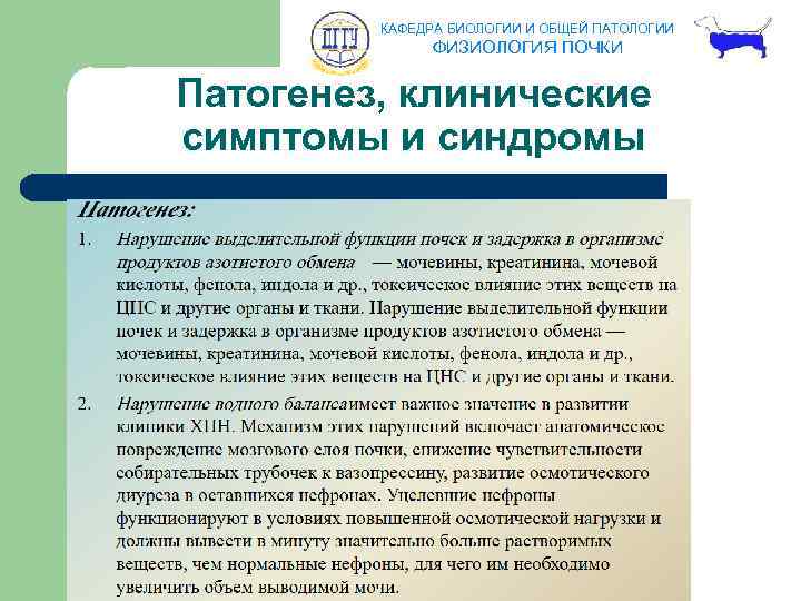 КАФЕДРА БИОЛОГИИ И ОБЩЕЙ ПАТОЛОГИИ ФИЗИОЛОГИЯ ПОЧКИ Патогенез, клинические симптомы и синдромы 