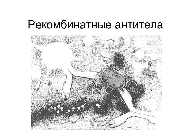 Рекомбинатные антитела 