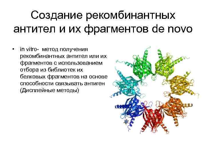 Создание рекомбинантных антител и их фрагментов de novo • in vitro- метод получения рекомбинантных