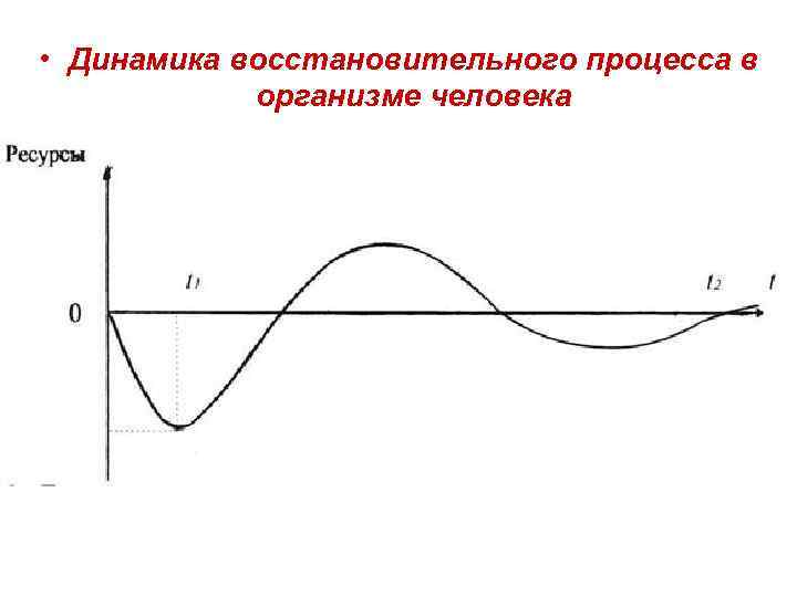  • Динамика восстановительного процесса в организме человека 