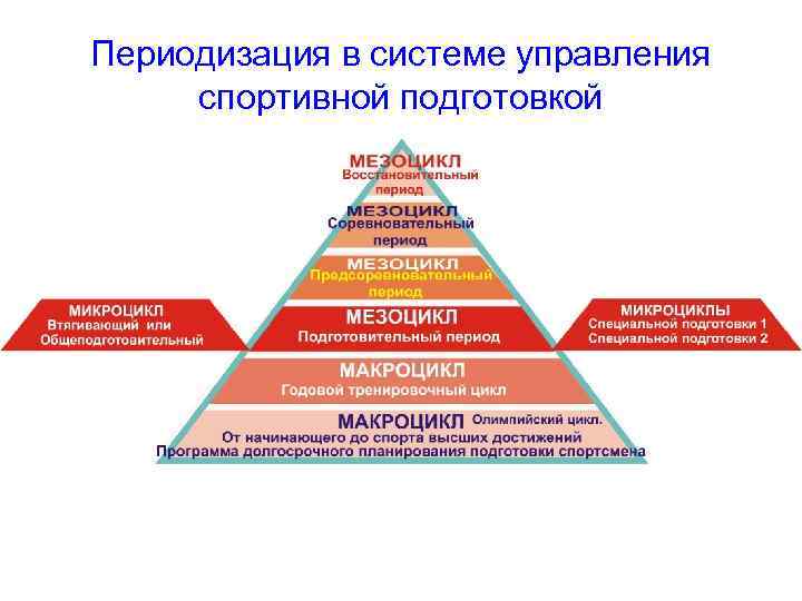 Периодизация в системе управления спортивной подготовкой 