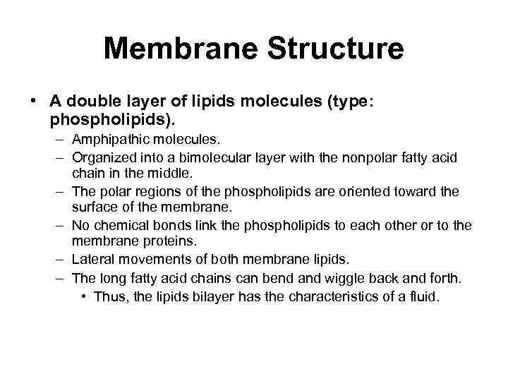 Membrane Structure • A double layer of lipids molecules (type: phospholipids). – Amphipathic molecules.