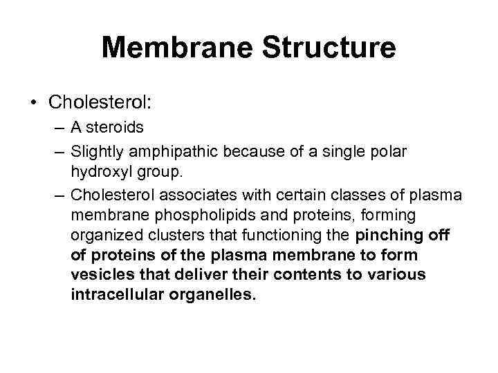 Membrane Structure • Cholesterol: – A steroids – Slightly amphipathic because of a single
