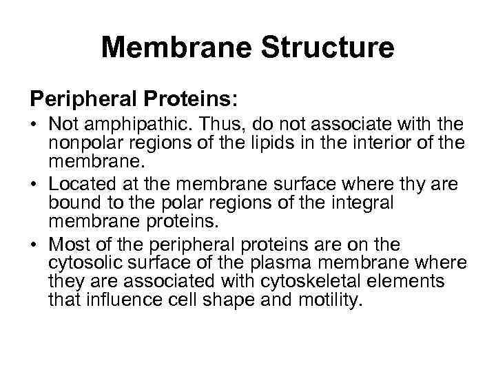 Membrane Structure Peripheral Proteins: • Not amphipathic. Thus, do not associate with the nonpolar
