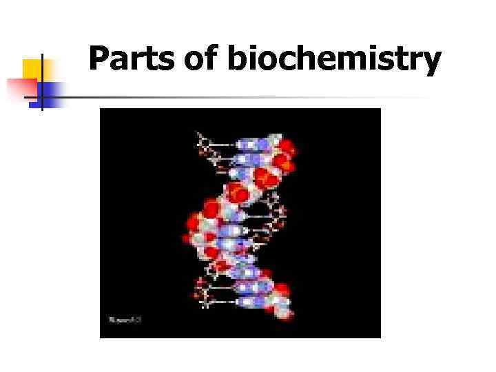 Parts of biochemistry 