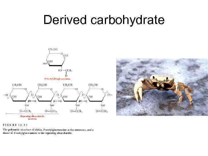 Derived carbohydrate 
