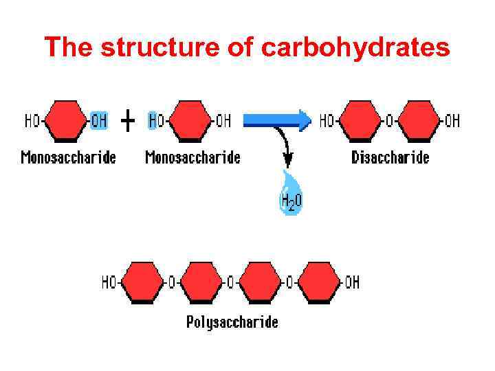 structure of carbohydrates download