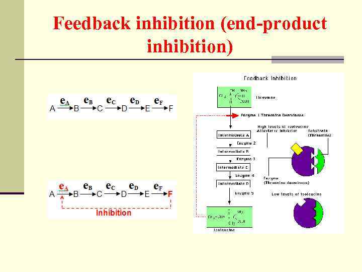 Feedback inhibition (end-product inhibition) 