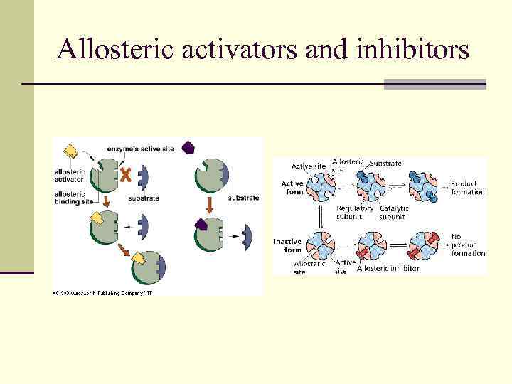 Allosteric activators and inhibitors 