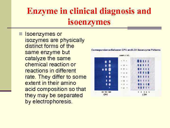 Enzyme in clinical diagnosis and isoenzymes n Isoenzymes or isozymes are physically distinct forms