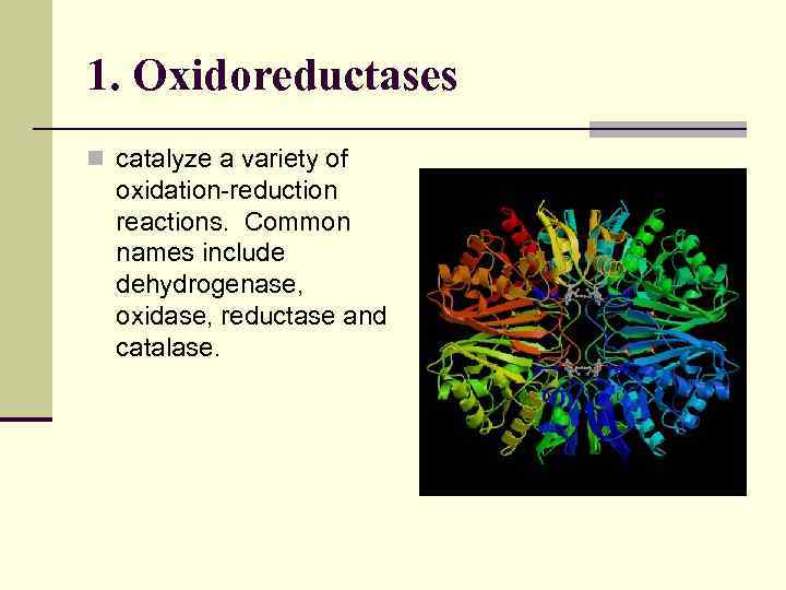 1. Oxidoreductases n catalyze a variety of oxidation-reduction reactions. Common names include dehydrogenase, oxidase,