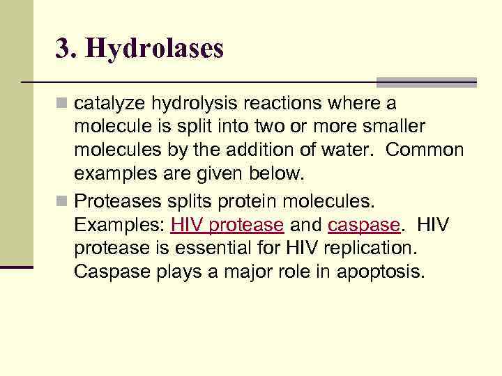 3. Hydrolases n catalyze hydrolysis reactions where a molecule is split into two or