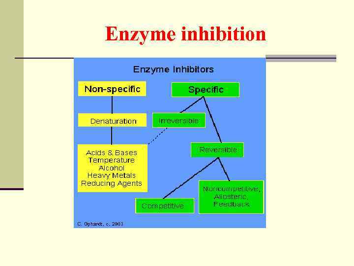 Enzyme inhibition 