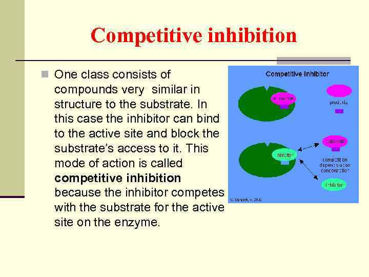 Competitive inhibition n One class consists of compounds very similar in structure to the