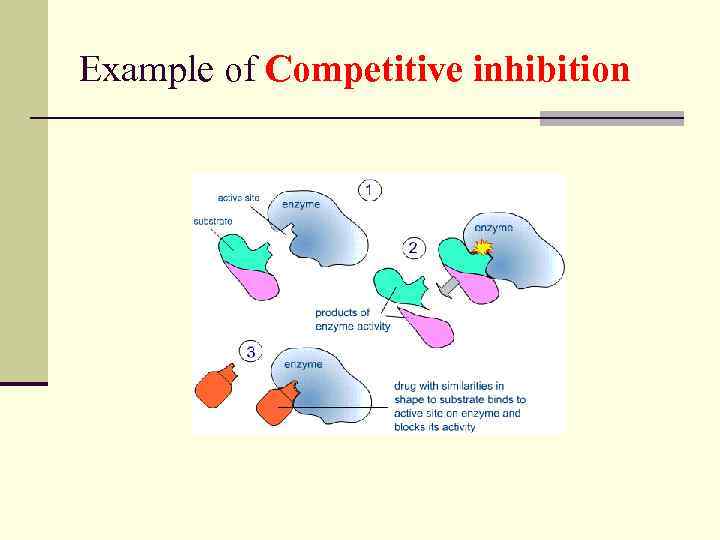 Example of Competitive inhibition 