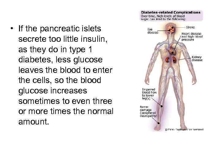  • If the pancreatic islets secrete too little insulin, as they do in