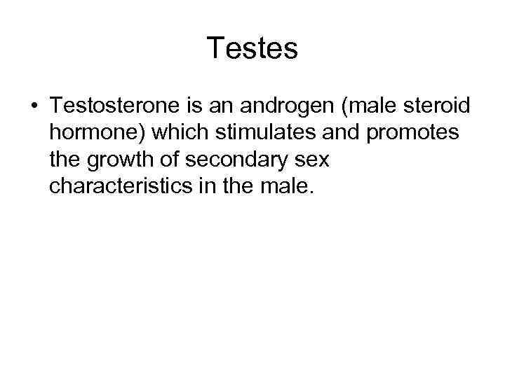 Testes • Testosterone is an androgen (male steroid hormone) which stimulates and promotes the