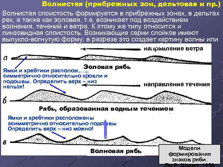 Волнистая (прибрежных зон, дельтовая и пр. ) Волнистая слоистость формируется в прибрежных зонах, в