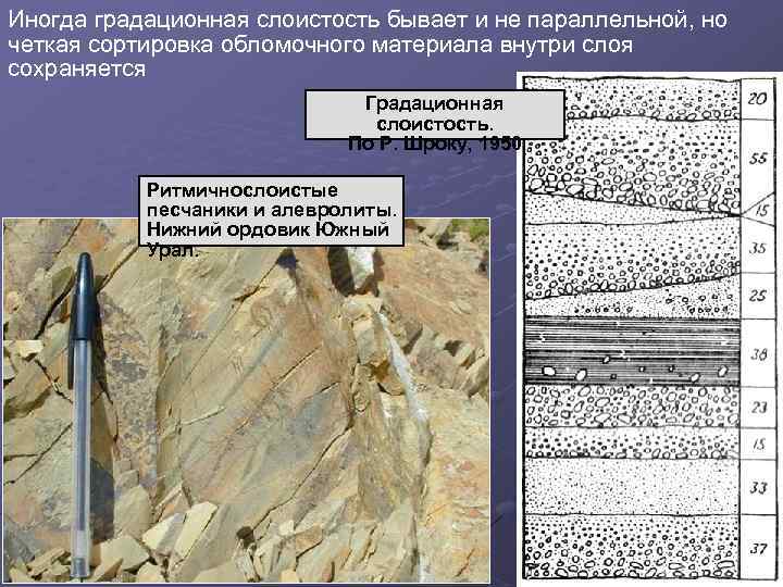 Иногда градационная слоистость бывает и не параллельной, но четкая сортировка обломочного материала внутри слоя