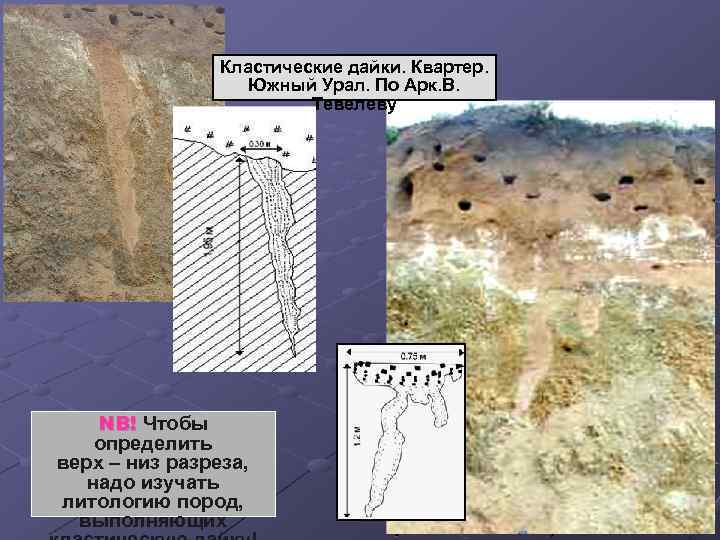 Кластические дайки. Квартер. Южный Урал. По Арк. В. Тевелеву NB! Чтобы определить верх –