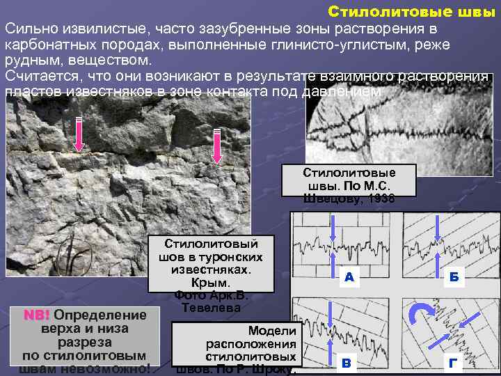 Стилолитовые швы Сильно извилистые, часто зазубренные зоны растворения в карбонатных породах, выполненные глинисто-углистым, реже