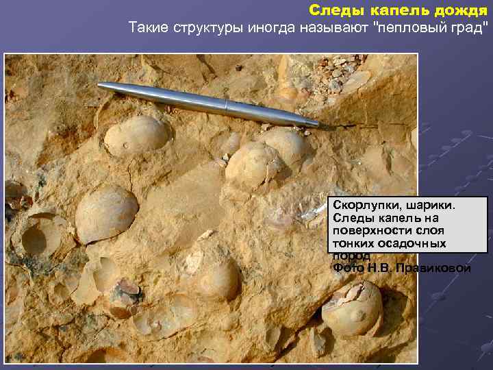 Следы капель дождя Такие структуры иногда называют 