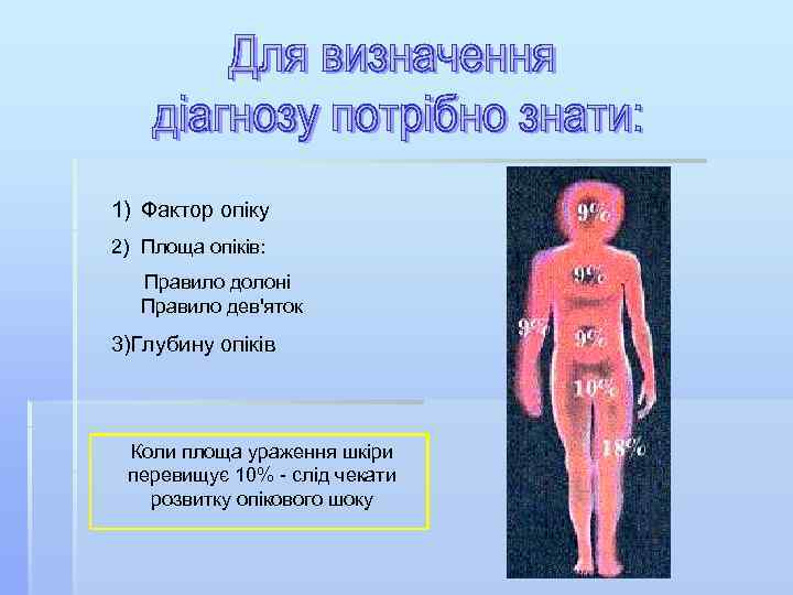 1) Фактор опіку 2) Площа опіків: Правило долоні Правило дев'яток 3)Глубину опіків Коли площа