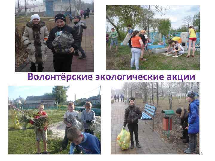 Волонтёрские экологические акции 24 