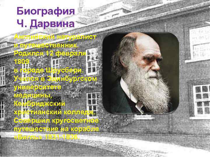 Биография Ч. Дарвина Английский натуралист и путешественник. Родился 12 февраля 1809 в городе Шрусбери.