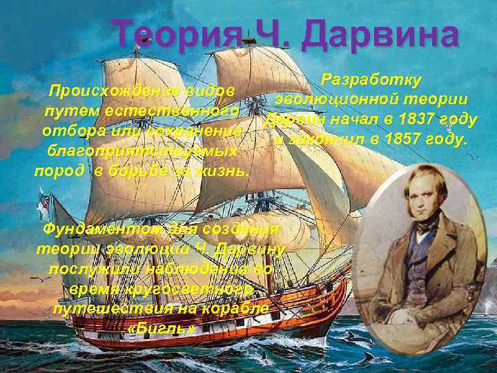 Теория Ч. Дарвина Происхождение видов путем естественного отбора или сохранение благоприятствуемых пород в борьбе