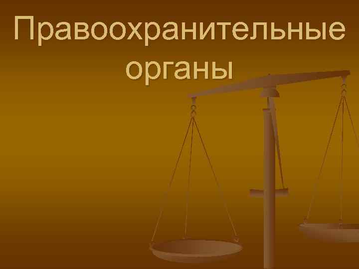 Правоохранительные органы 