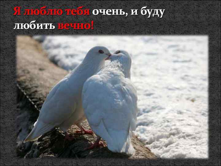 Я люблю тебя очень, и буду любить вечно! 