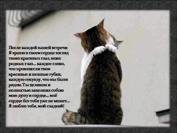 После каждой нашей встречи Я храню в своем сердце взгляд твоих красивых глаз, моих