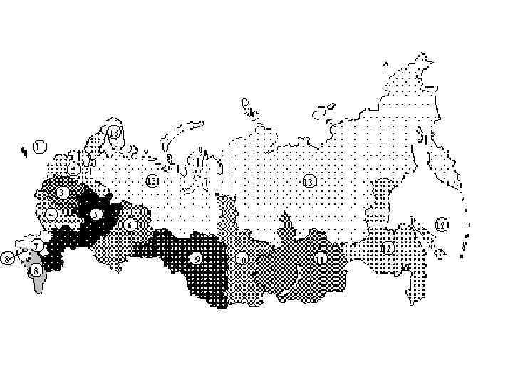 Туристские зоны россии карта