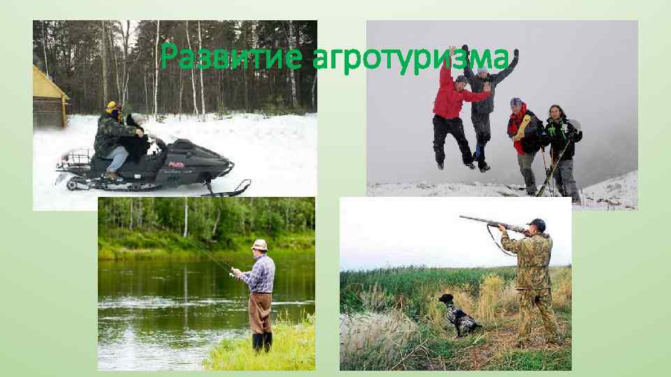 Развитие агротуризма 