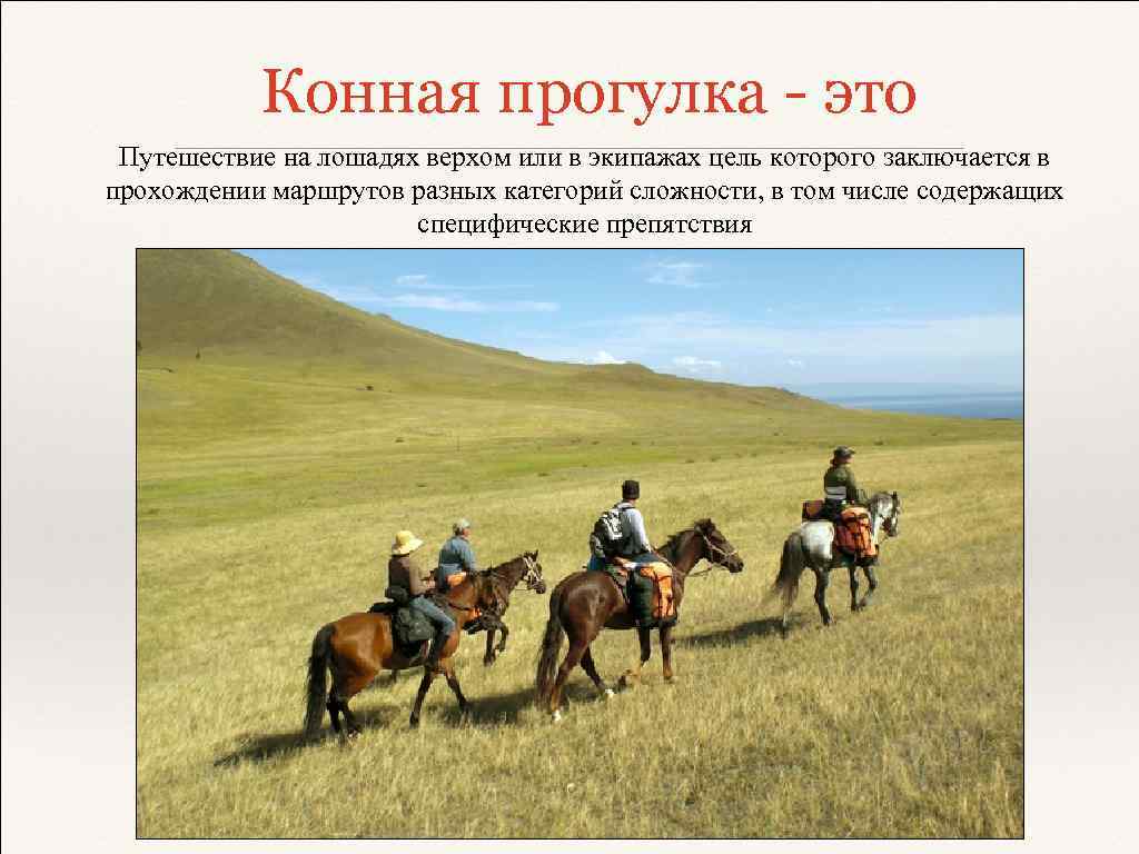 Конная прогулка - это Путешествие на лошадях верхом или в экипажах цель которого заключается
