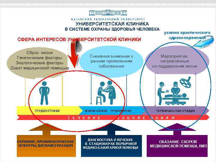 УНИВЕРСИТЕТСКАЯ КЛИНИКА В СИСТЕМЕ ОХРАНЫ ЗДОРОВЬЯ ЧЕЛОВЕКА СФЕРА ИНТЕРЕСОВ УНИВЕРСИТЕТСКОЙ КЛИНИКИ Образ жизни Генетические