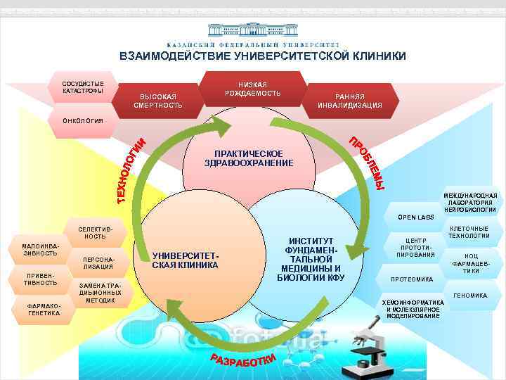 ВЗАИМОДЕЙСТВИЕ УНИВЕРСИТЕТСКОЙ КЛИНИКИ СОСУДИСТЫЕ КАТАСТРОФЫ НИЗКАЯ РОЖДАЕМОСТЬ ВЫСОКАЯ СМЕРТНОСТЬ РАННЯЯ ИНВАЛИДИЗАЦИЯ ОНКОЛОГИЯ ПРАКТИЧЕСКОЕ ЗДРАВООХРАНЕНИЕ