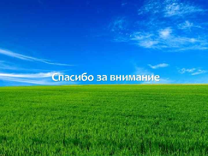 LOGO Спасибо за внимание 