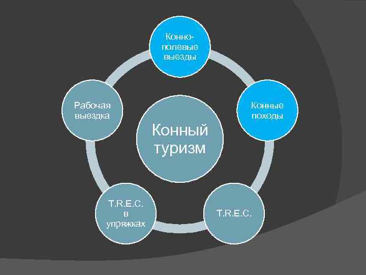 Коннополевые выезды Рабочая выездка Конные походы Конный туризм T. R. E. C. в упряжках