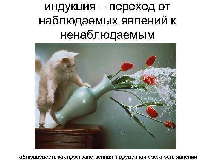 индукция – переход от наблюдаемых явлений к ненаблюдаемым наблюдаемость как пространственная и временная смежность